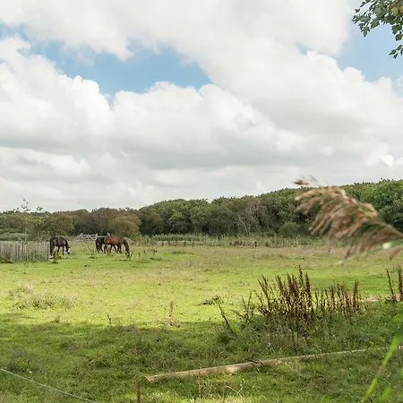 De Wolken - Boerderij Callantsoog